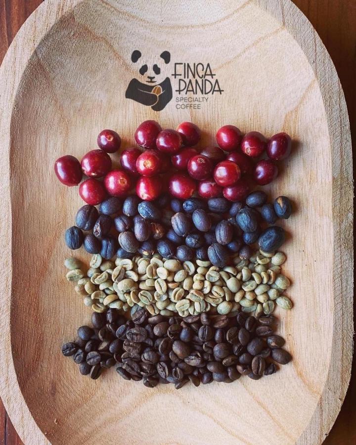Finca Panda Boquete Buitenkant foto