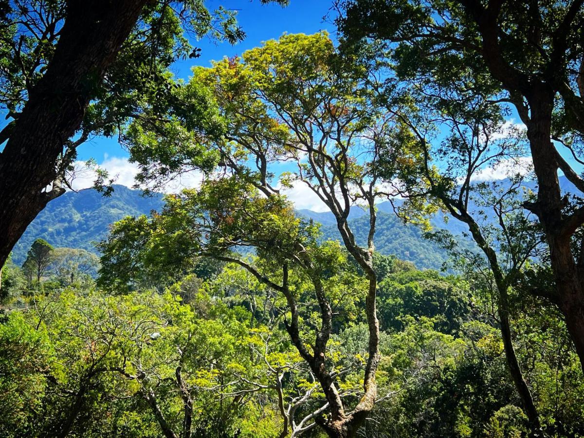 Finca Panda Boquete Buitenkant foto